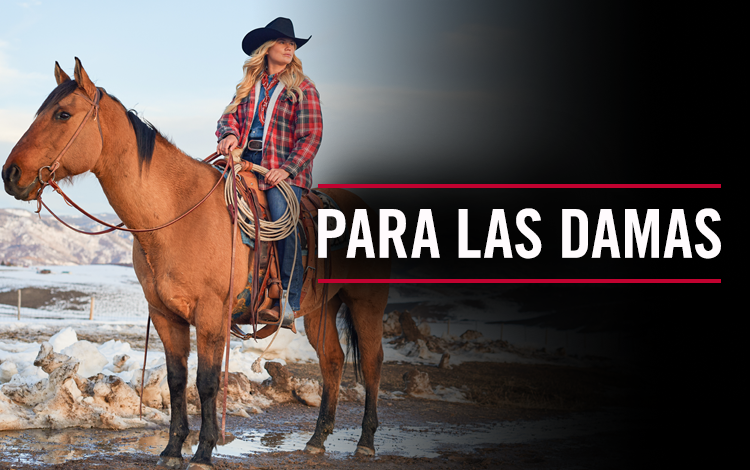 Para las damas. una vaquera que llevaba un Justin Shacket sosteniendo una cuerda y sentada en la silla montando a caballo.